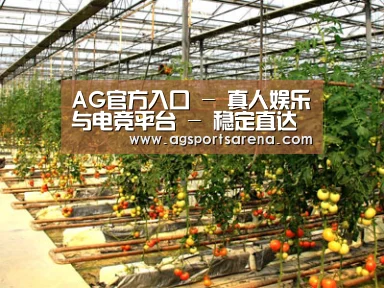 种植基地二