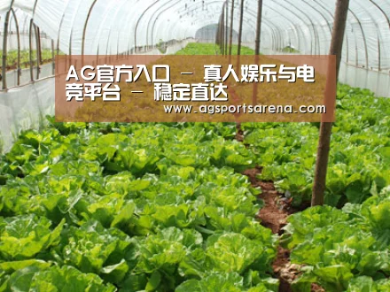 种植基地五