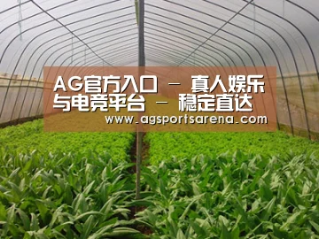 种植基地四