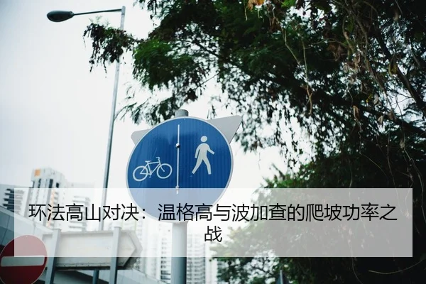 环法高山对决：温格高与波加查的爬坡功率之战