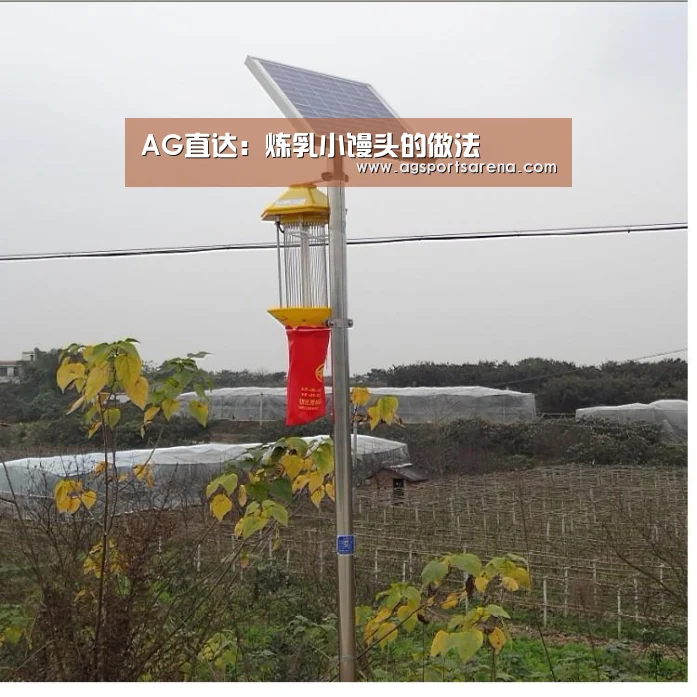 AG直达